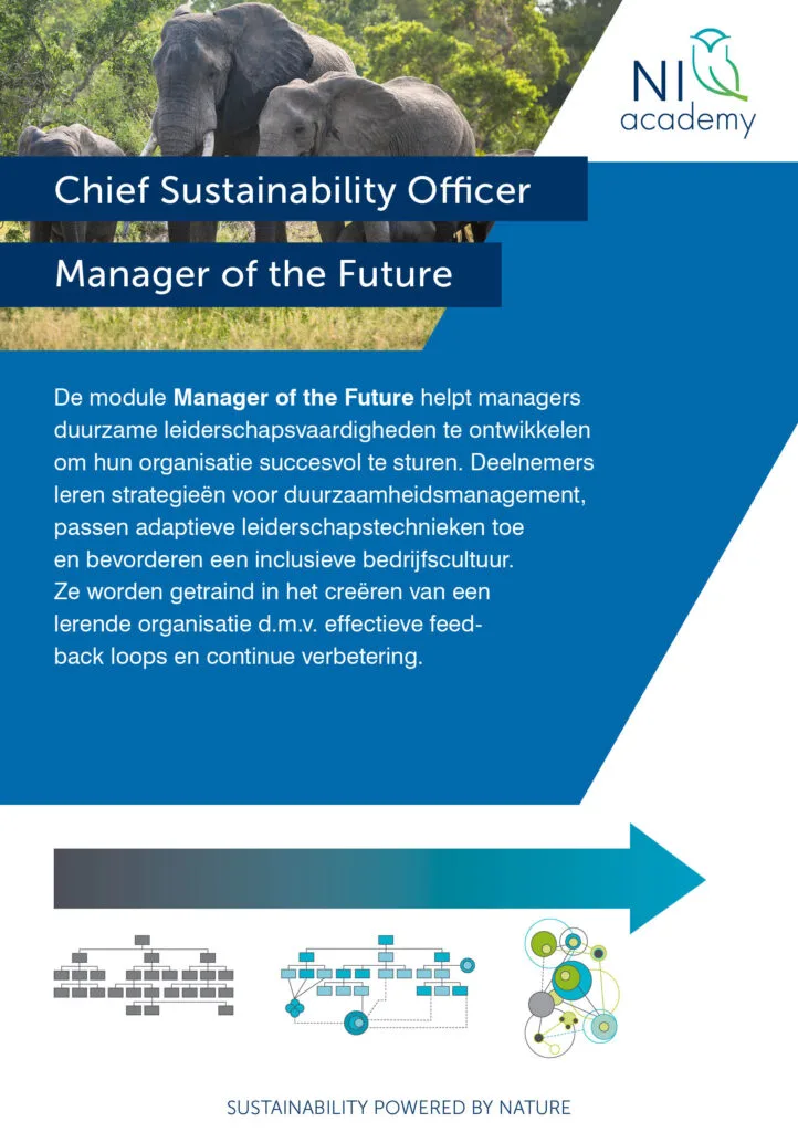 CSO Manager: Future Leadership