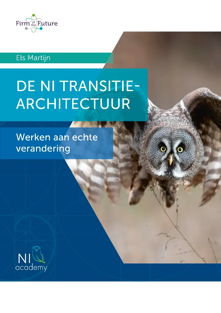 De NI Transitie-architectuur