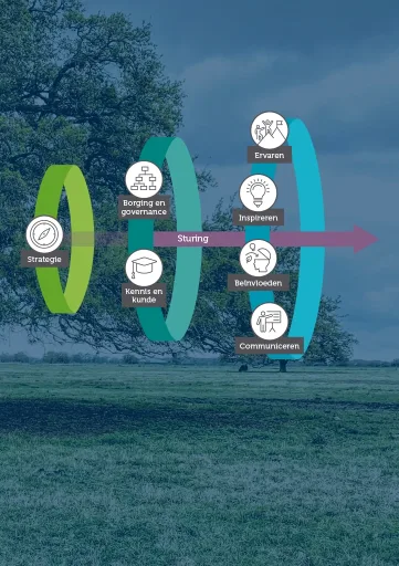 Module Transition Management: de fasen van een transitie achter elkaar